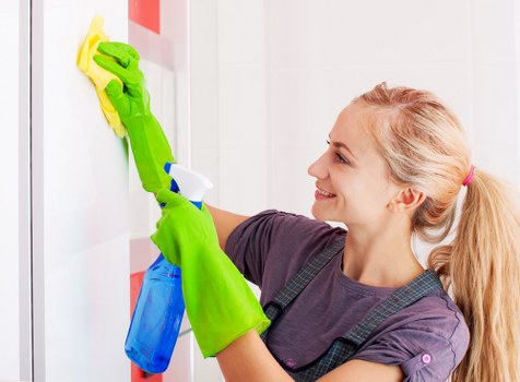 Professional pet stain odour removal in a Camden Town living room