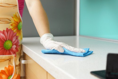 Professional stain removal in a Camden Town home