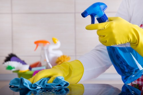 Carpet cleaning equipment and prepared living room for service terms introduction