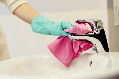 Professional carpet cleaning booking and inspection process