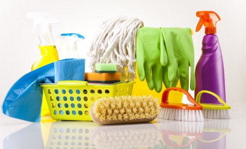 Specialist treating pet stains on upholstery in Camden Town