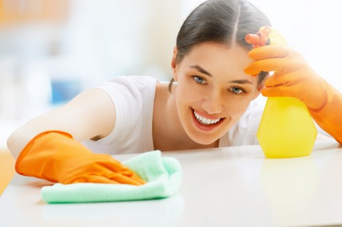 Professional carpet cleaning in a Camden Town living room