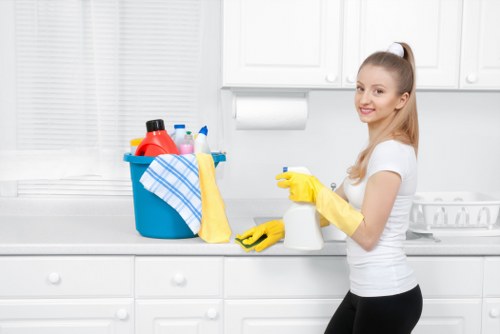 Steam carpet cleaning service in a Camden Town home