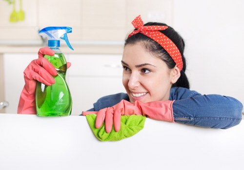 Professional carpet cleaning treatment in a Camden Town home