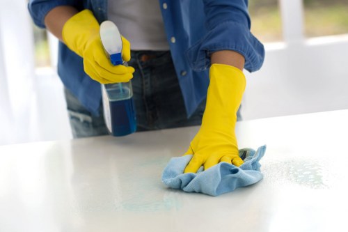 Bedroom mattress hygiene and care service in Camden Town