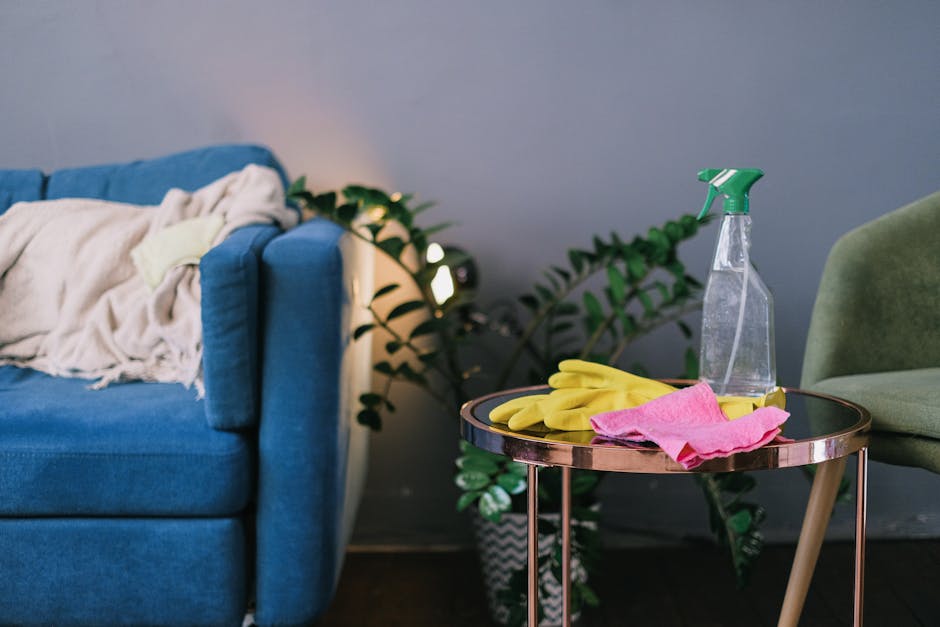 Close-up of a grey fabric upholstered sofa with matching cushion, situated in a living room corner with soft natural light filtering through a window on the right. The sofa appears clean and well-main